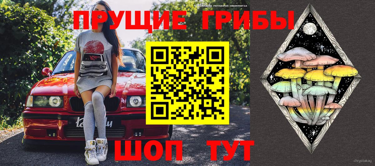 Дзержинск  Галлюциногенные грибы ЛСД  Вход с VPN 
